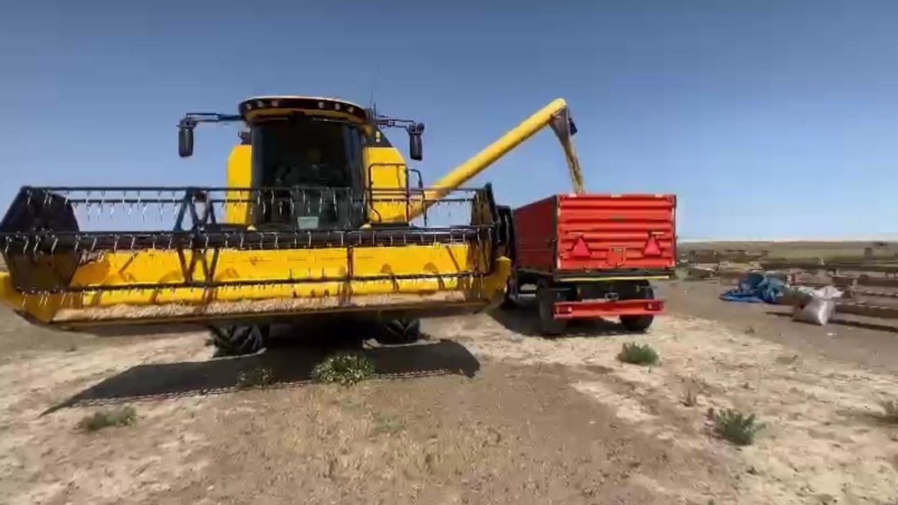 Konya’nın Kulu İlçesinde Ekilen Arpa Zamanından 3 Hafta Önce Hasat Edildi