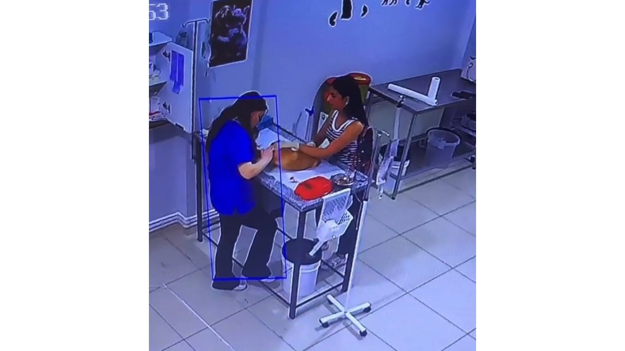 Veteriner Kliniğinde Köpeğini Tedavi Ettiren Kadın Bayıldı