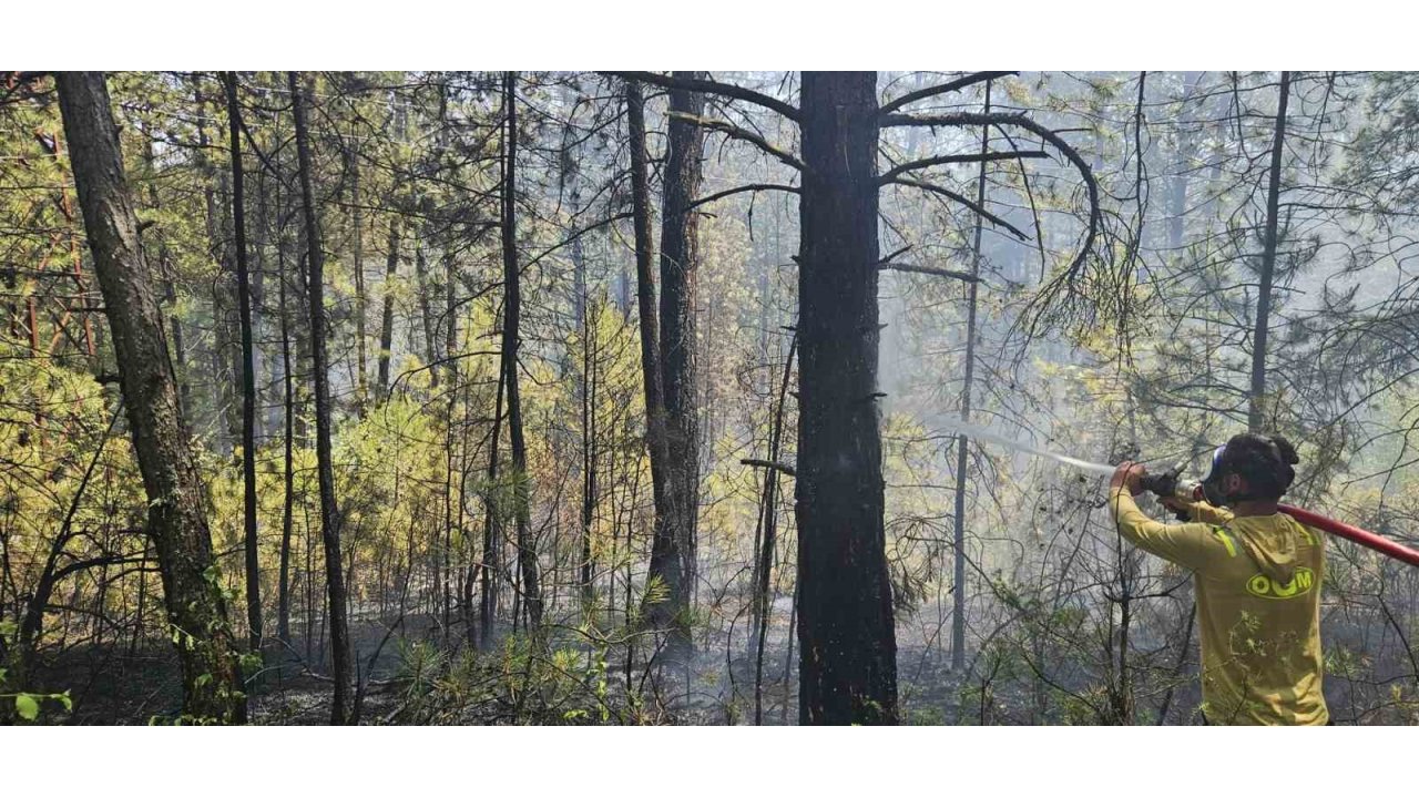 Bolu’da Ormanlık Alanda Örtü Yangını Faciaya Dönüşmeden Söndürüldü