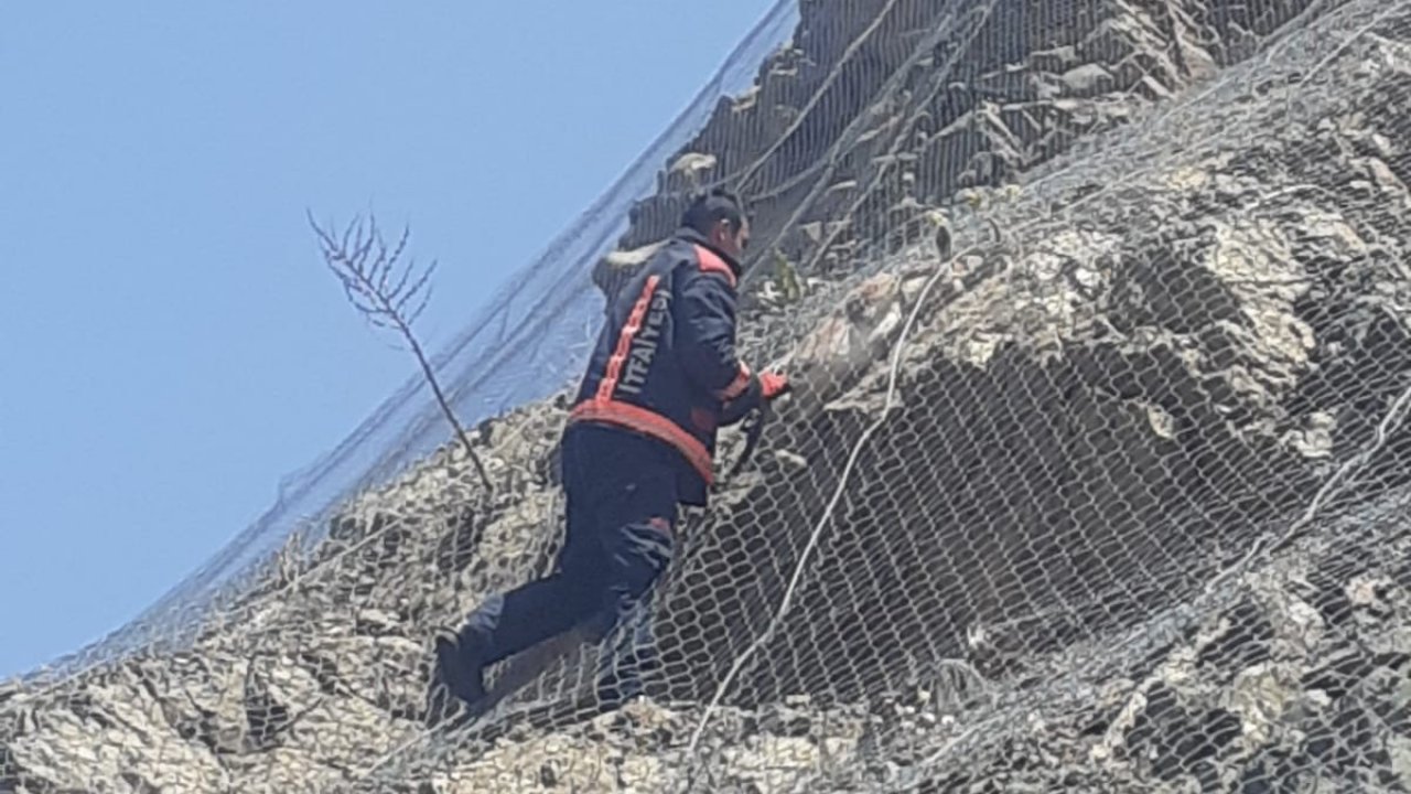 Malatya’da Ağa Takılan 2 Yaban Keçisi Kurtarıldı