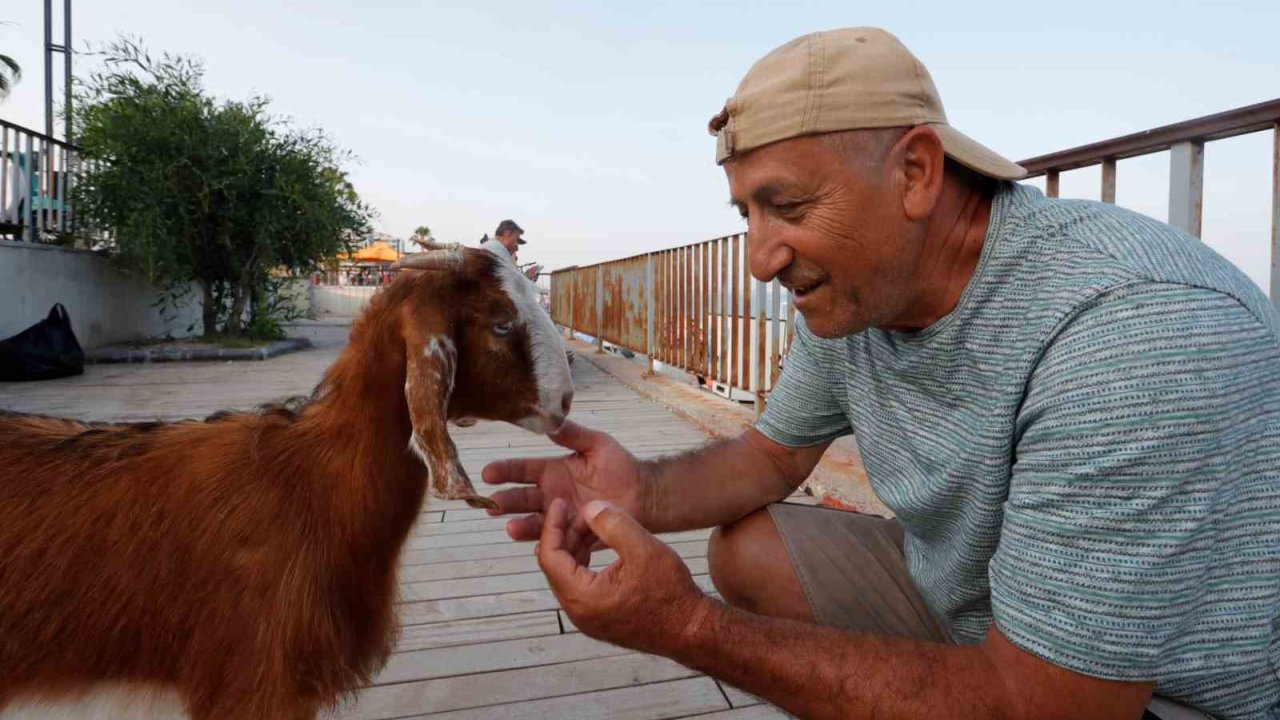 Hemcinsleri Bıçak Altına Yatarken O Deniz Keyfi Yaptı
