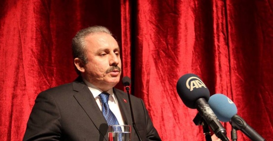 TBMM Anayasa Komisyonu Başkanı Şentop: “Başkanlık sistemi 50 yıllık bir tartışma”