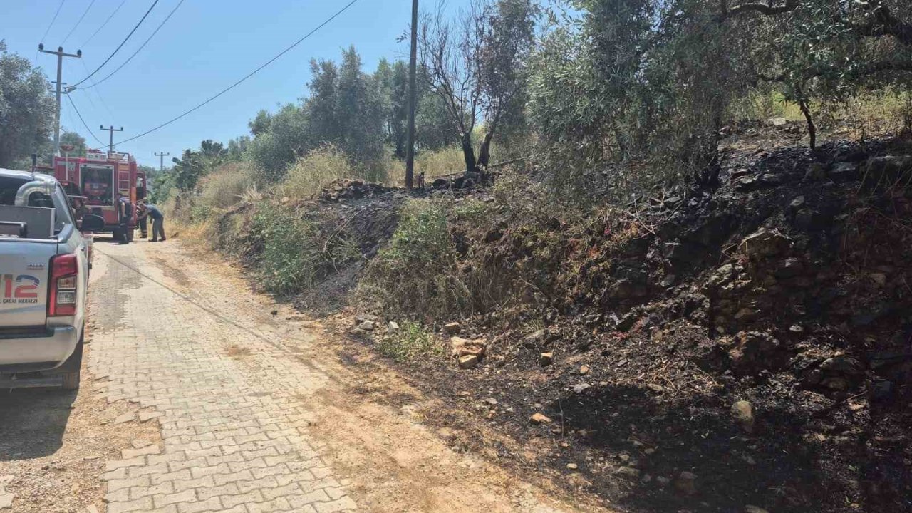 Ula’da Yol Kenarında Çıkan Yangın Korkuttu