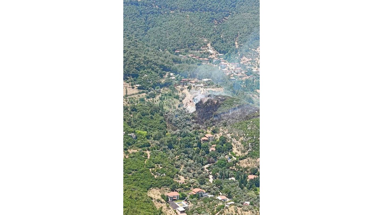 İzmir Kemalpaşa’da Orman Yangını