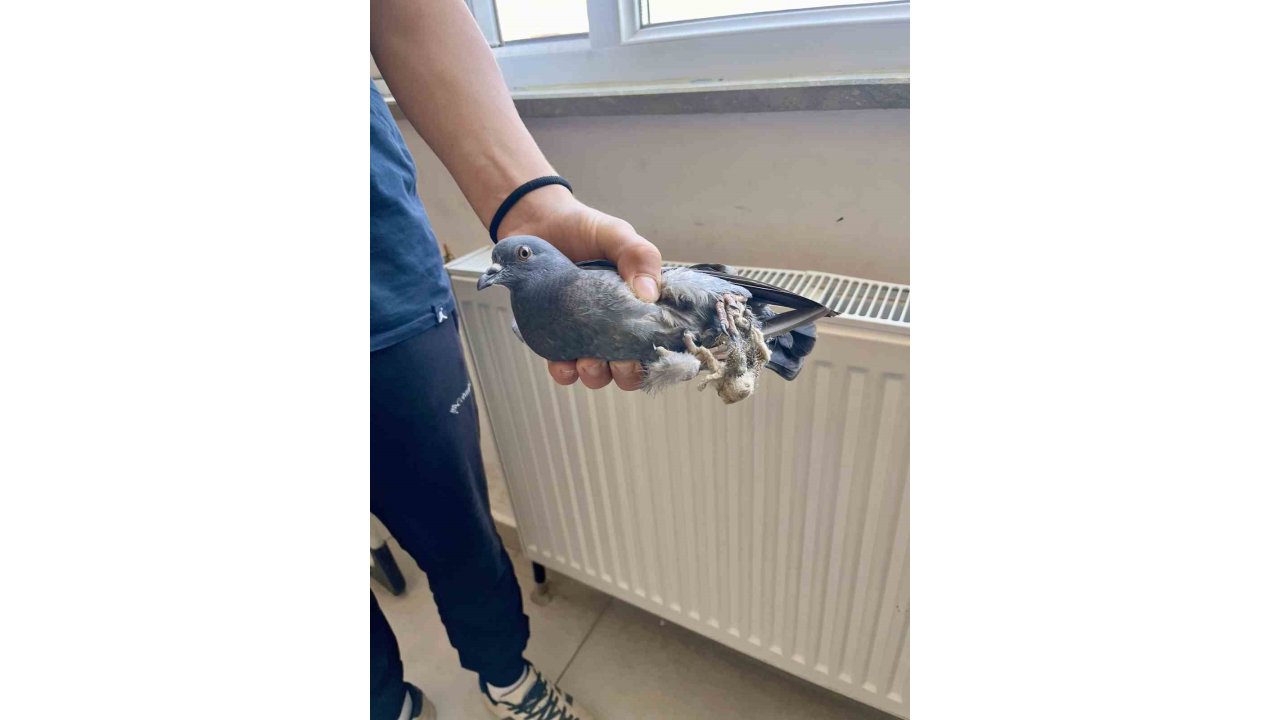 Türkeli Anadolu İhl Öğrencilerinden Örnek Davranış