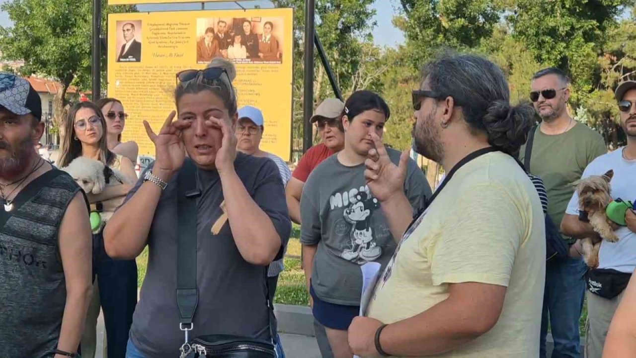 Köpek Otelinde İhmal İddiası: Tarçın Ölü Bulundu, Aile Davacı Oldu