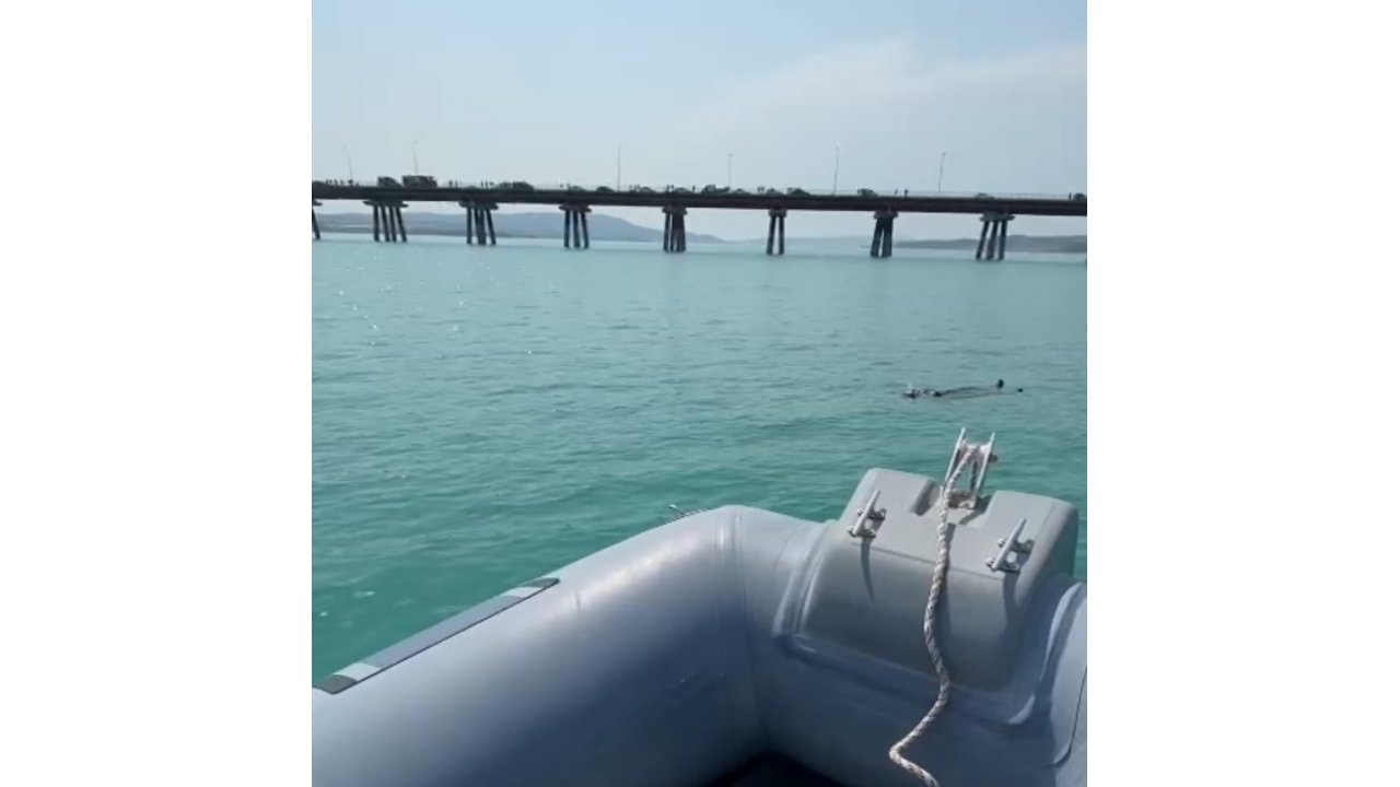 Adana’da Baraj Gölüne Düşen Kadını Gemi Adamlar Kurtardı