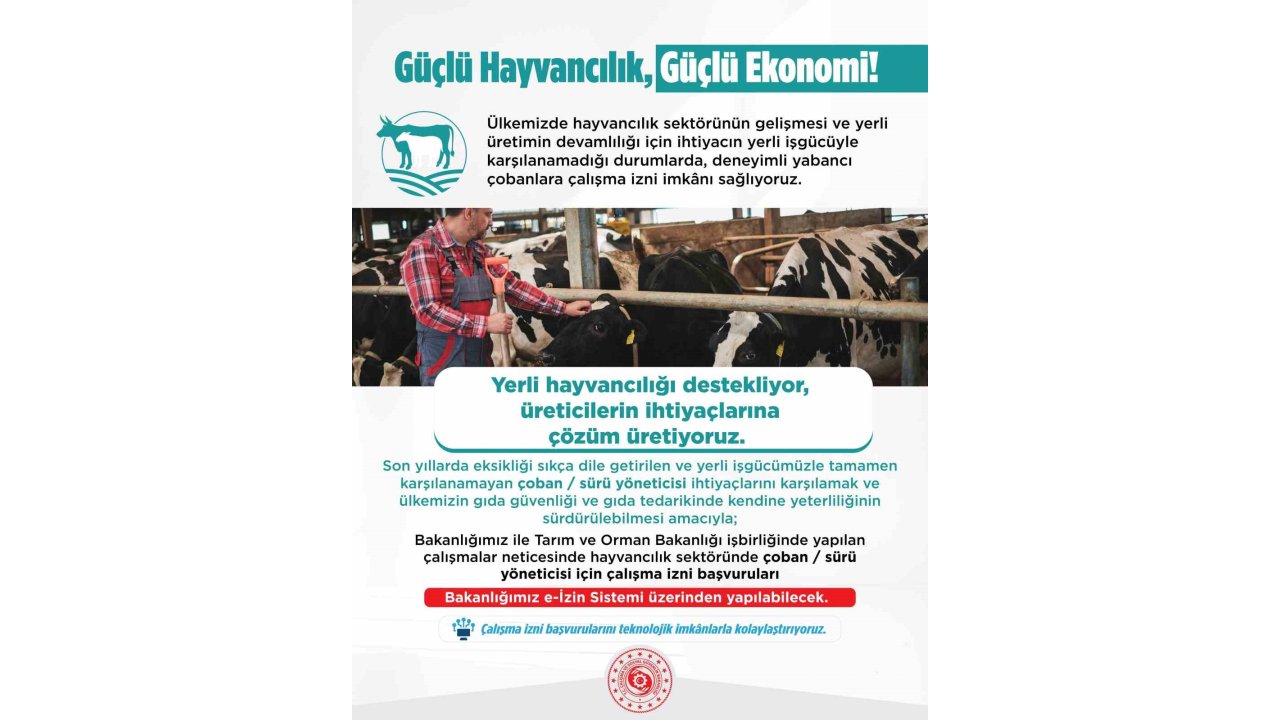 Yabancı Çobanlar İçin Çalışma İzni Başvuruları Başladı