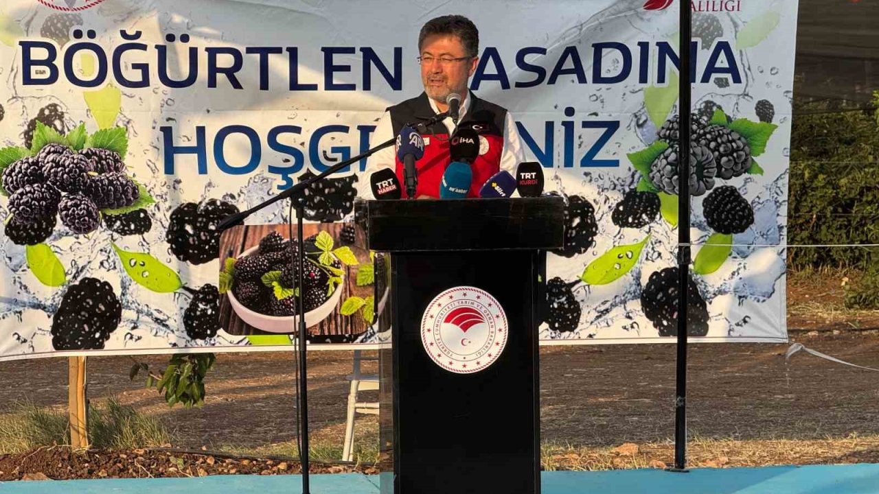 Bakan Yumaklı, Siirt’te Böğürtlen Hasadına Katıldı