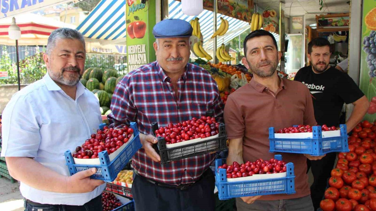 Amasya’da 60 Yıldır Yarışması Yapılıyordu, Şimdi Bir Tane Bile Kiraz Yok