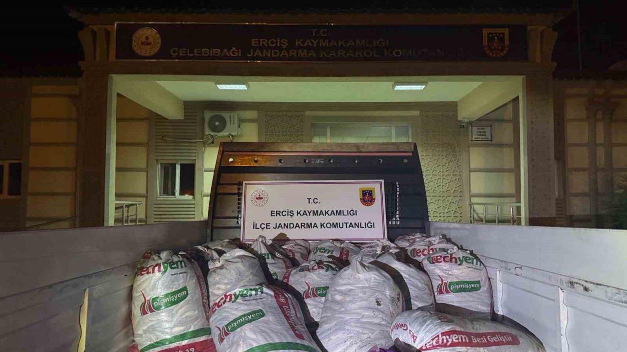 Erciş’te 2 Ton Kaçak Avlanmış Balık Ele Geçirildi