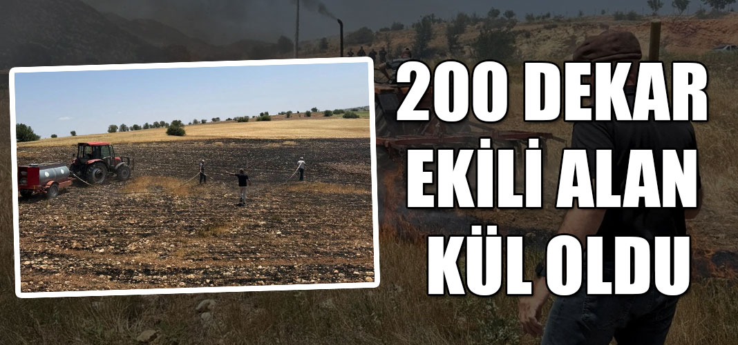 200 DEKAR EKİLİ ALAN KÜL OLDU