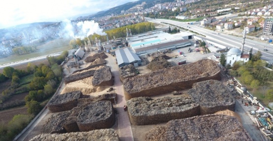 Orman ürünlerinden milli ekonomiye büyük katkı