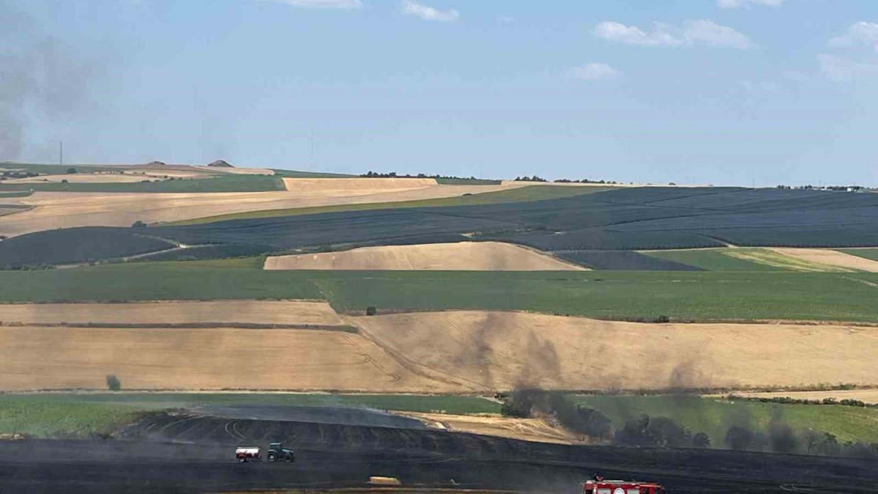 Tekirdağ’da 150 Dönümde Ekili Buğday Küle Döndü