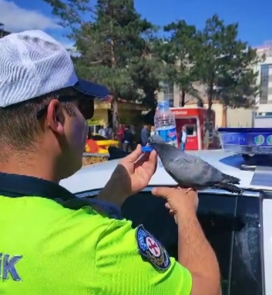 Güvercine Su İçiren Trafik Polisi Merhametiyle Yürekleri Isıttı