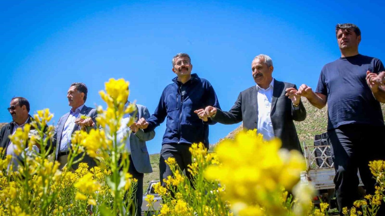 Vali Ali Çelik, 3 Bin Rakımlı Aveğak Yaylasındaki Vatandaşları Ziyaret Etti