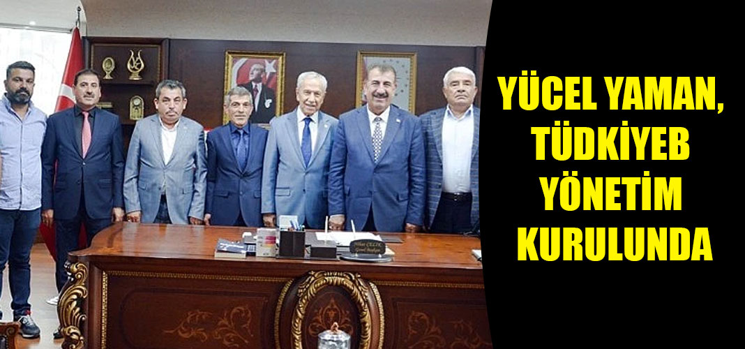 YÜCEL YAMAN, TÜDKİYEB YÖNETİM KURULUNDA