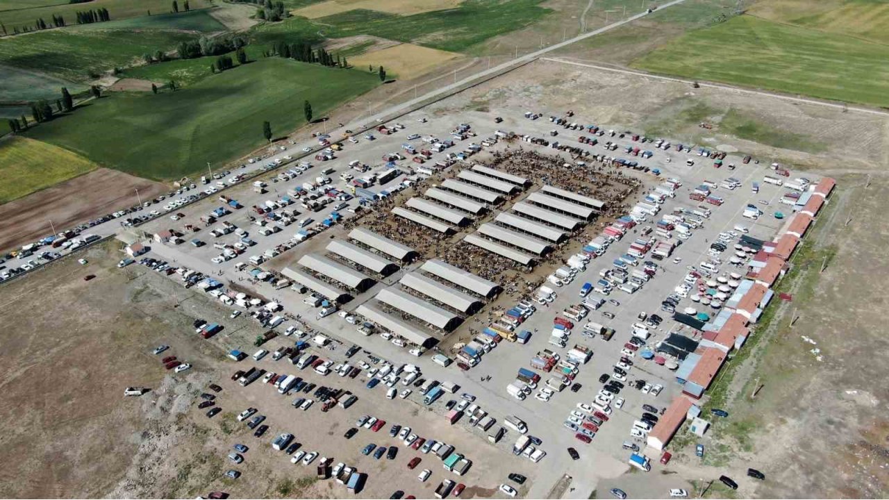 Şap Hastalığı Arttı, Sivas’ta Hayvan Pazarları Kapatıldı