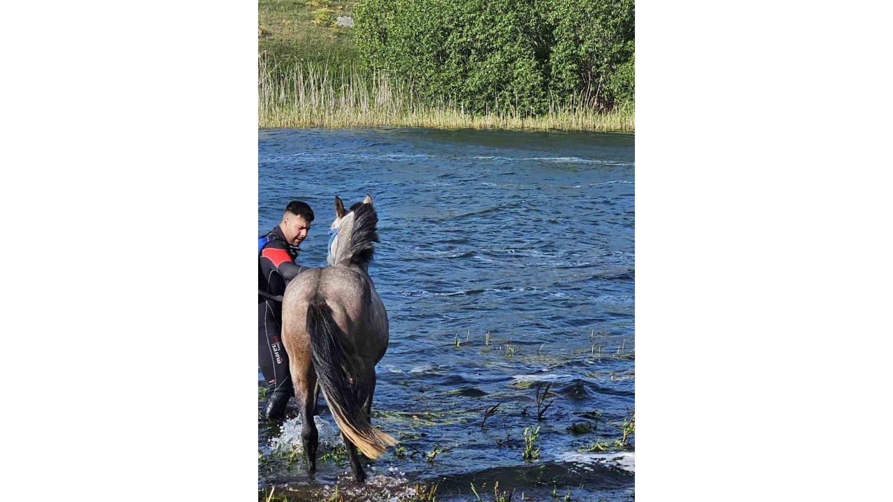 Ardahan’da Mahsur Kalan Atı Kurtarma Operasyonu