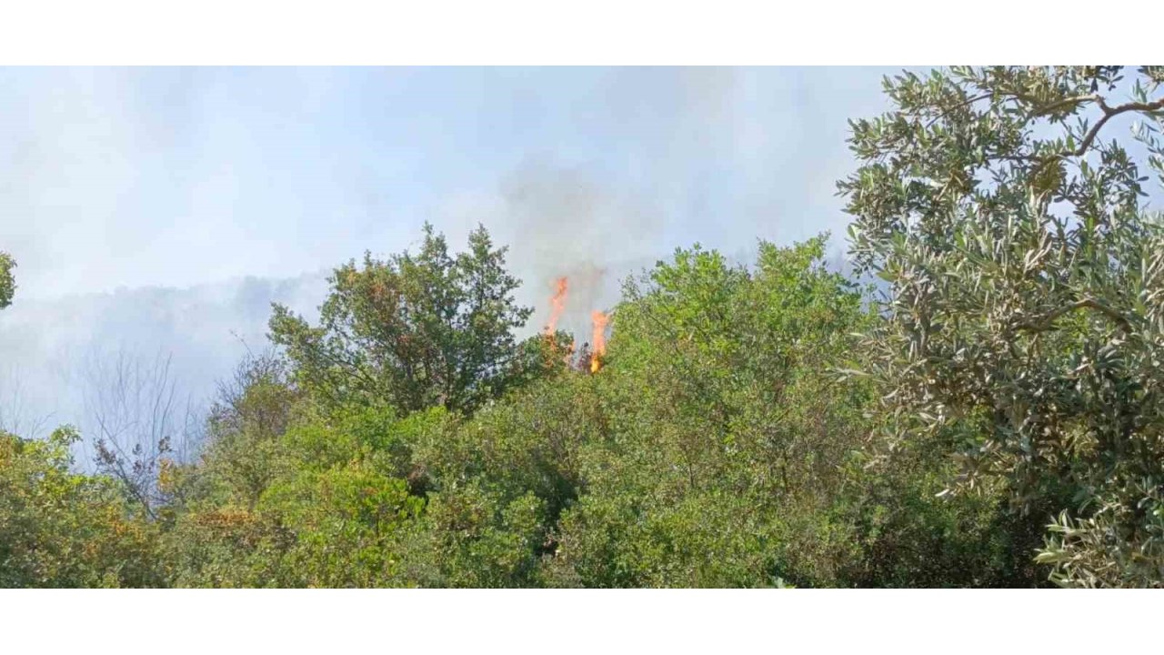 Orhangazi’deki Yangına Havadan Ve Karadan Müdahale Ediliyor