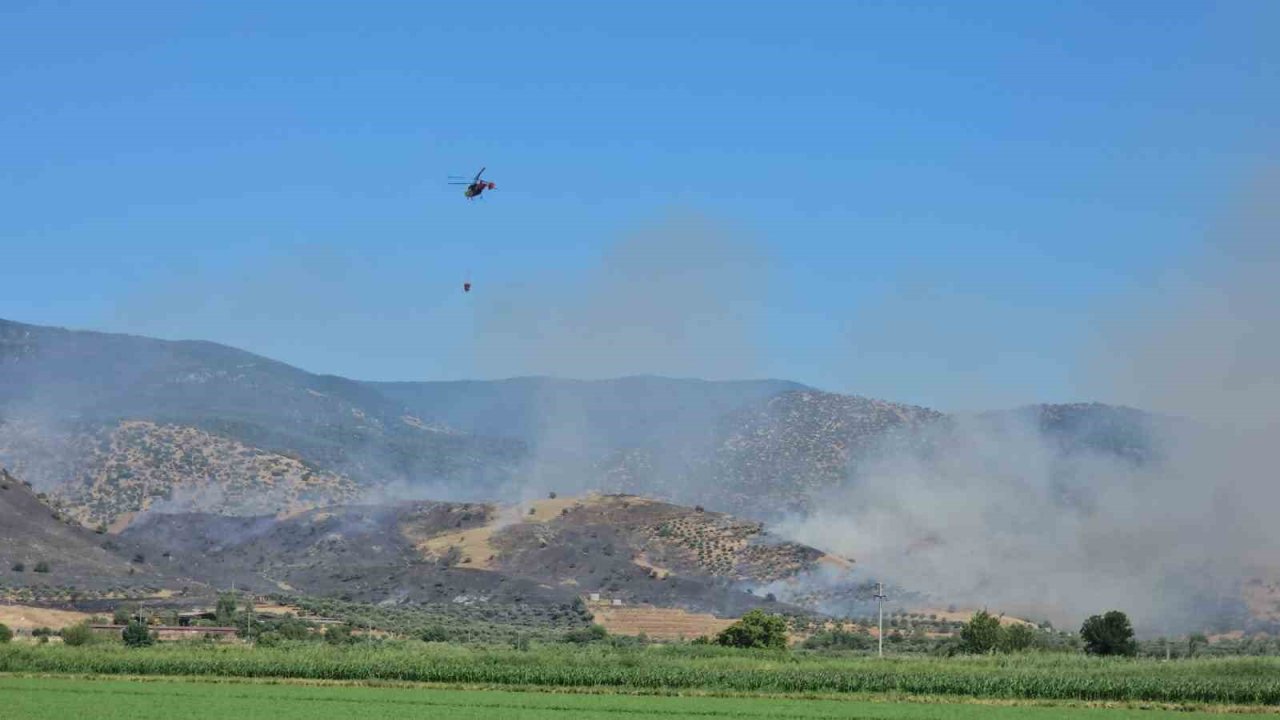 Nazilli’de Zirai Alan Yangınına Ekiplerin Müdahalesi Sürüyor