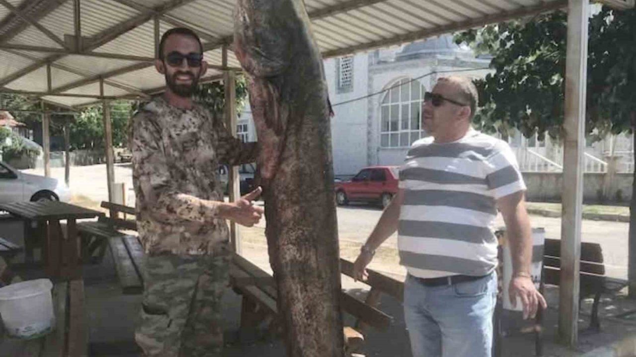 İpsala’da Ağlara 80 Kilo Ağırlığında Yayın Balığı Takıldı