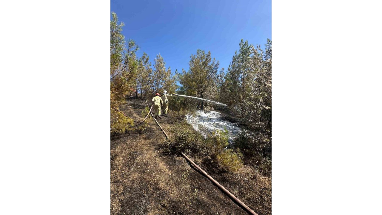 Adana’daki Orman Yangını Kontrol Altına Alındı