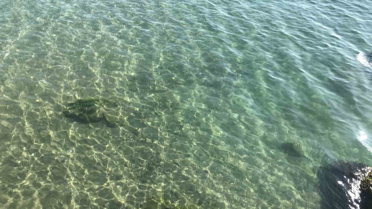 Yakıt Dökülen Deniz Temizlendi: Vatandaşlar Soluğu İnkumu’nda Aldı