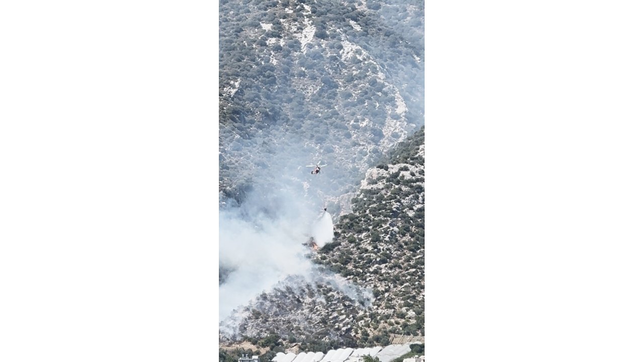 Finike’de Orman Yangını