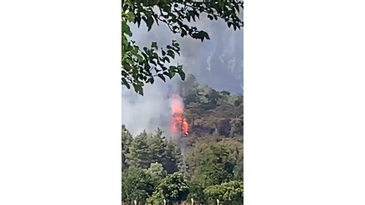 Köyceğiz’de Orman Yangını Başladı