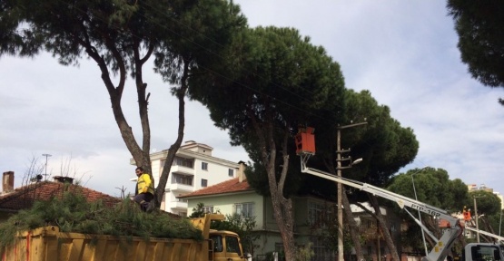 Büyükşehir belediyesinden bahar temizliği