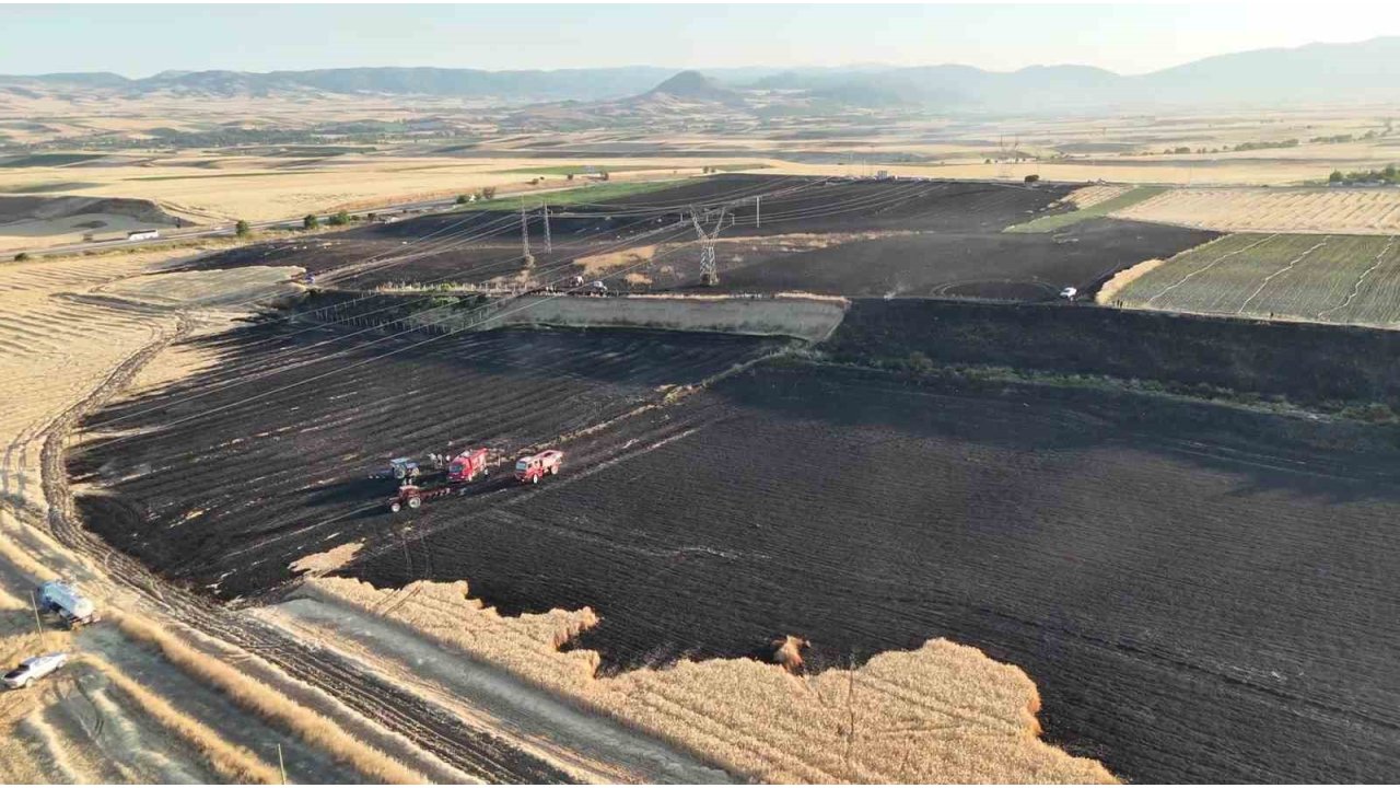 Merzifon’da 80 Dönüm Tarım Arazisi Yandı, Yanan Alan Havadan Görüntülendi
