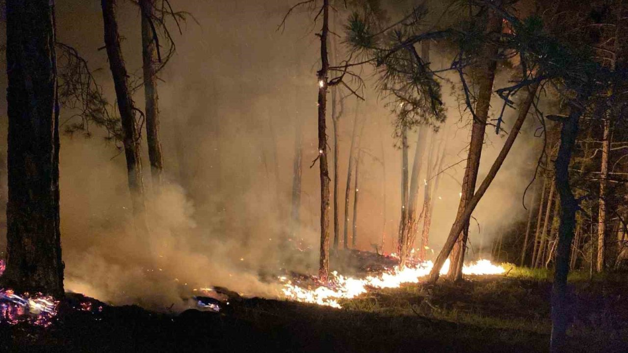 Bolu’daki Orman Yangını Büyüyor: Karadan Müdahale Sürüyor