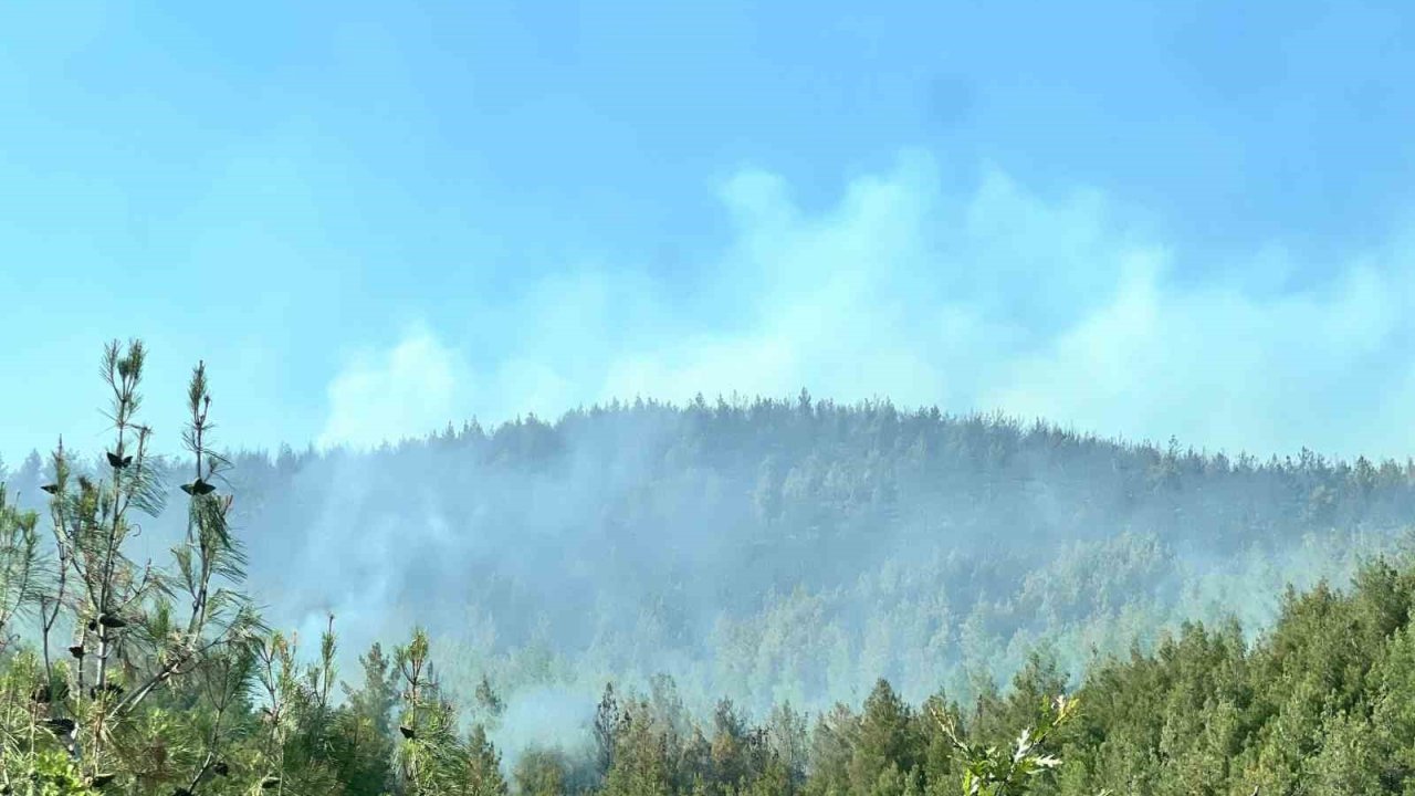 Kahramanmaraş’taki İkinci Orman Yangını Da Kontrol Altında