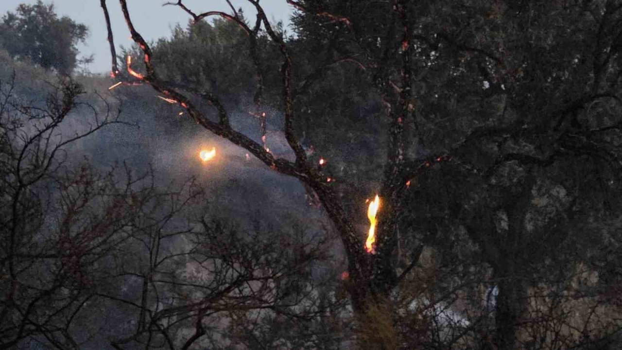 Düğün Konvoyundan Atılan Meşale Yangın Çıkardı