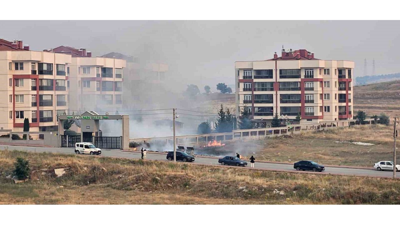 Çöpe Atılan Sigara İzmariti Nedeniyle Yangın Çıktı