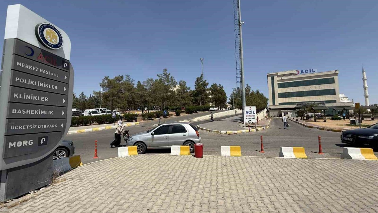 Diyarbakır’da Kız Kaçıran Gencin Annesi Öldürüldü