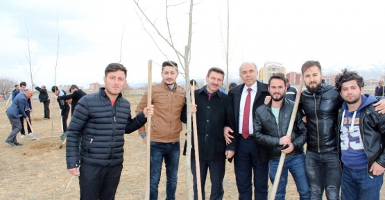 Şehitler anısına 248 adet fidan toprakla buluşturuldu