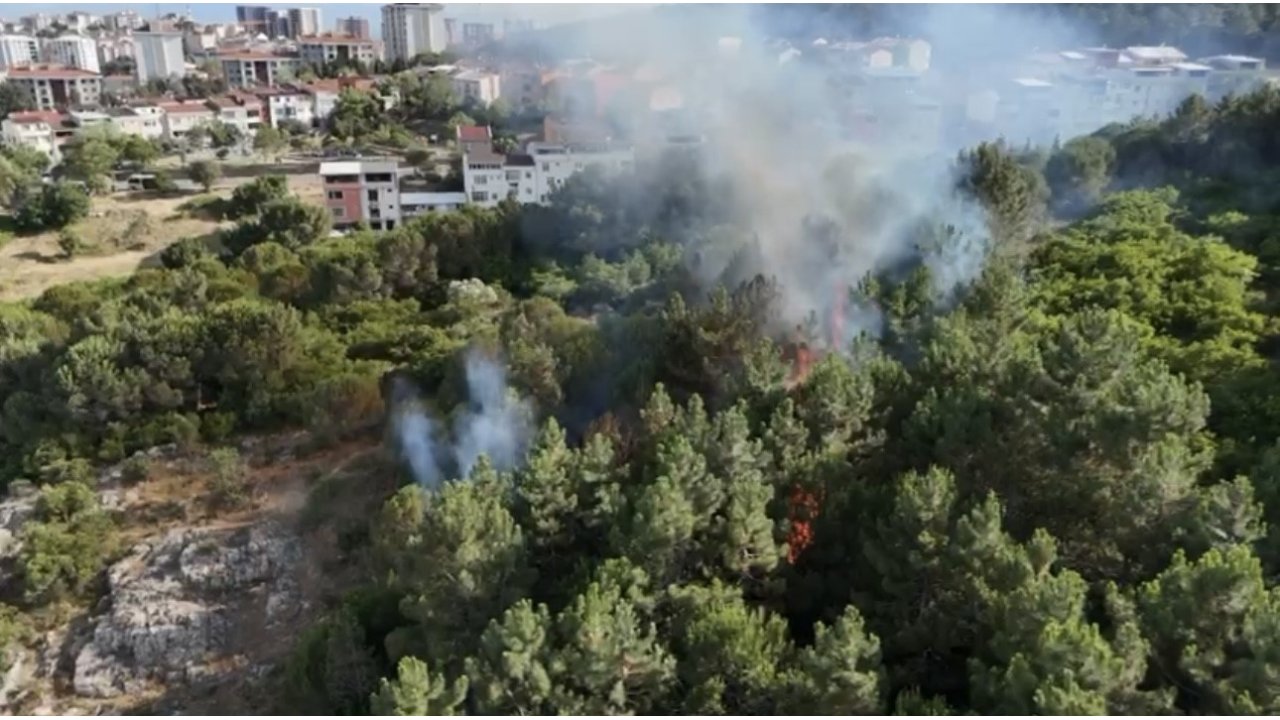 Pendik’te Ormanlık Alanda Çıkan Yangın Söndürüldü