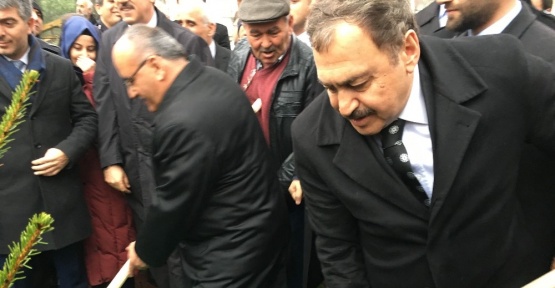 Bakan Eroğlu, Ümraniye’de fidan dikti