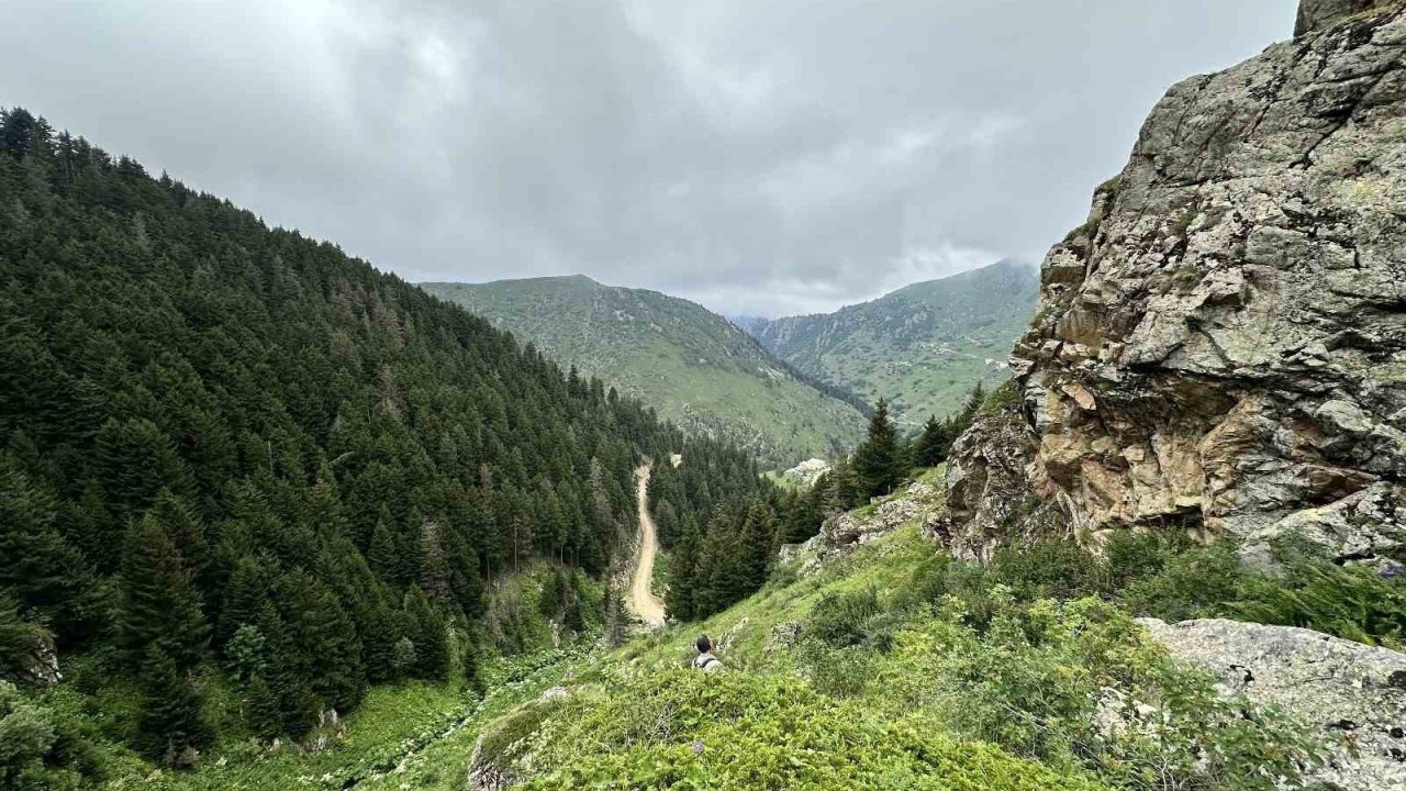 Omü Ve Anas Ortaklığında Kültürel Miras Projesi