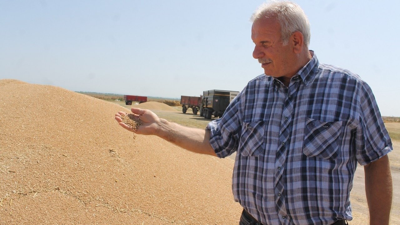 Manyas’ta Hububat Verimi Üreticinin Yüzünü Güldürdü