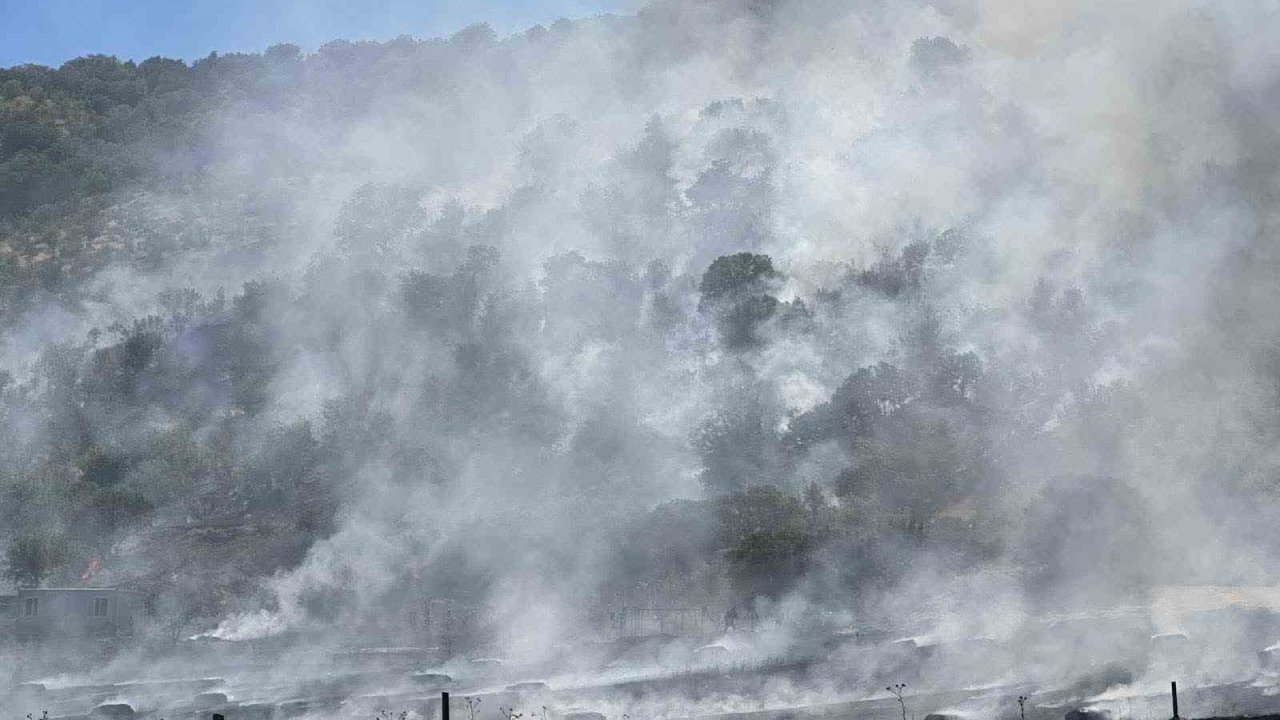 Ankara’da Tarla Yangını Söndürüldü