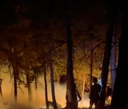 Eşeler Dağında Çıkan Yangın Büyümeden Söndürüldü