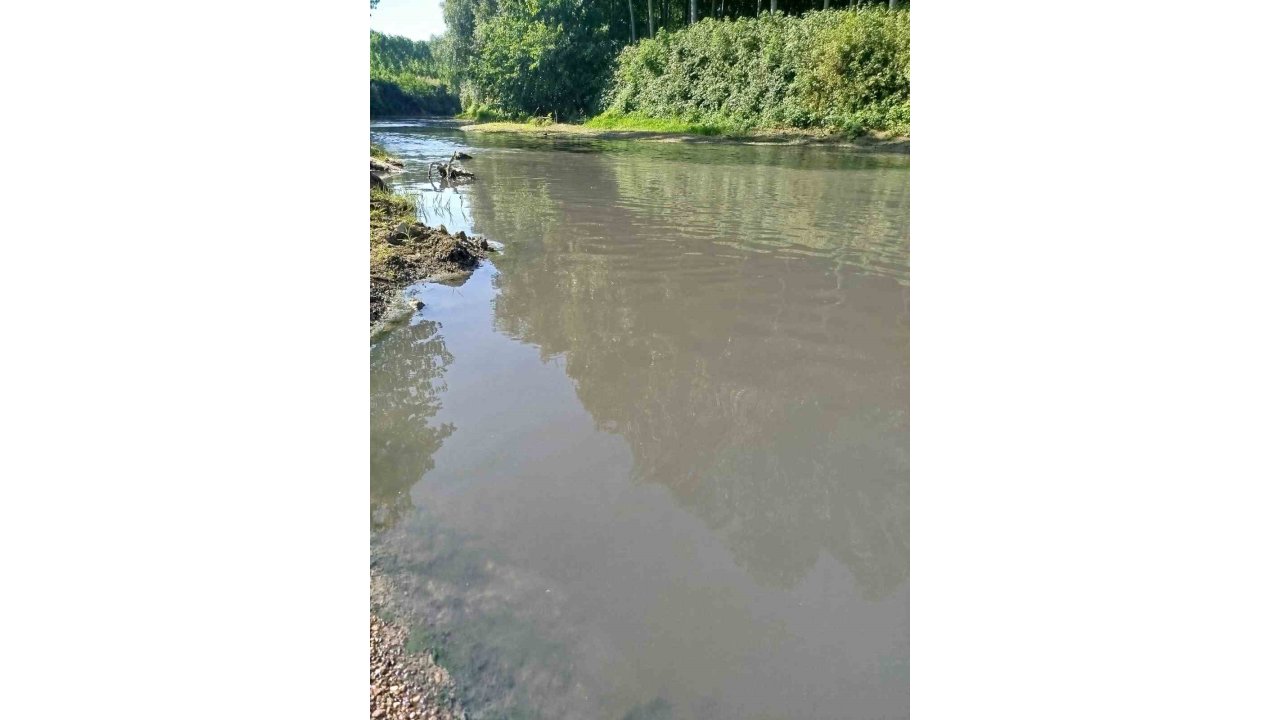 Mudurnu Deresi’nde Endişe Veren Kirlilik