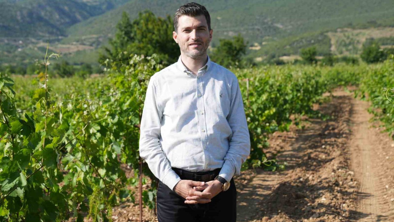 Don Geciktirdi Ama Üretim Düşmedi, Yaprakta Hedef 2 Milyar Liralık Gelir