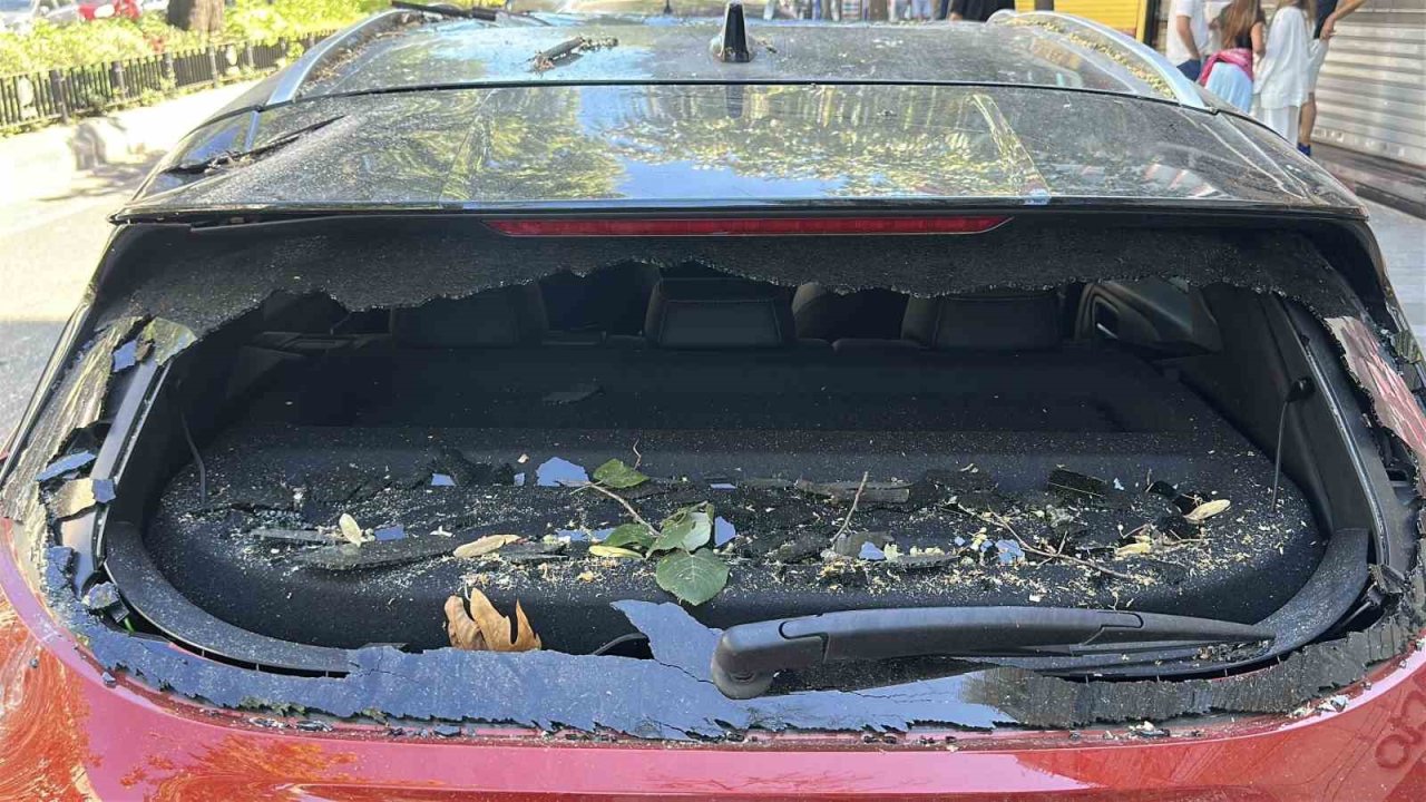 Üsküdar’da Park Halindeki Aracın Üzerine Ağaç Devrildi