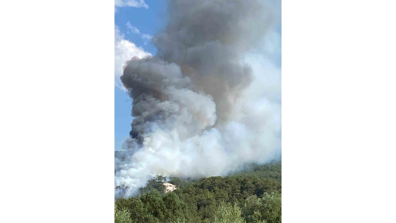 Bolu’da Orman Yangını