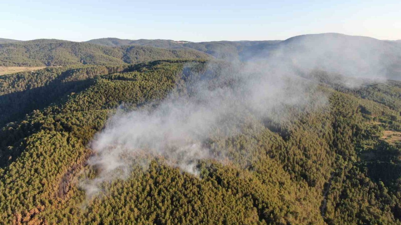 Çankırı’daki Orman Yangını 6 Buçuk Saatlik Çalışmayla Kontrol Altına Alındı