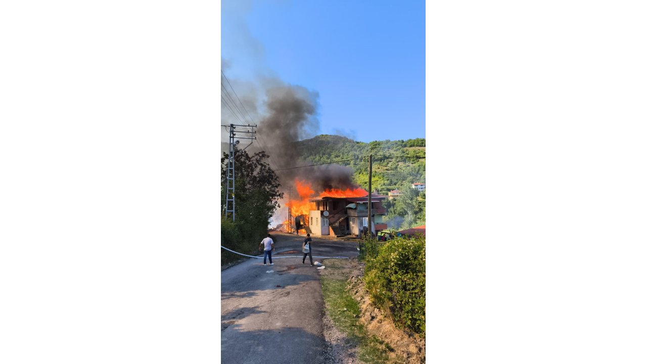 Alevlere Teslim Olan Ev Küle Döndü: 1 Eşek Telef Oldu